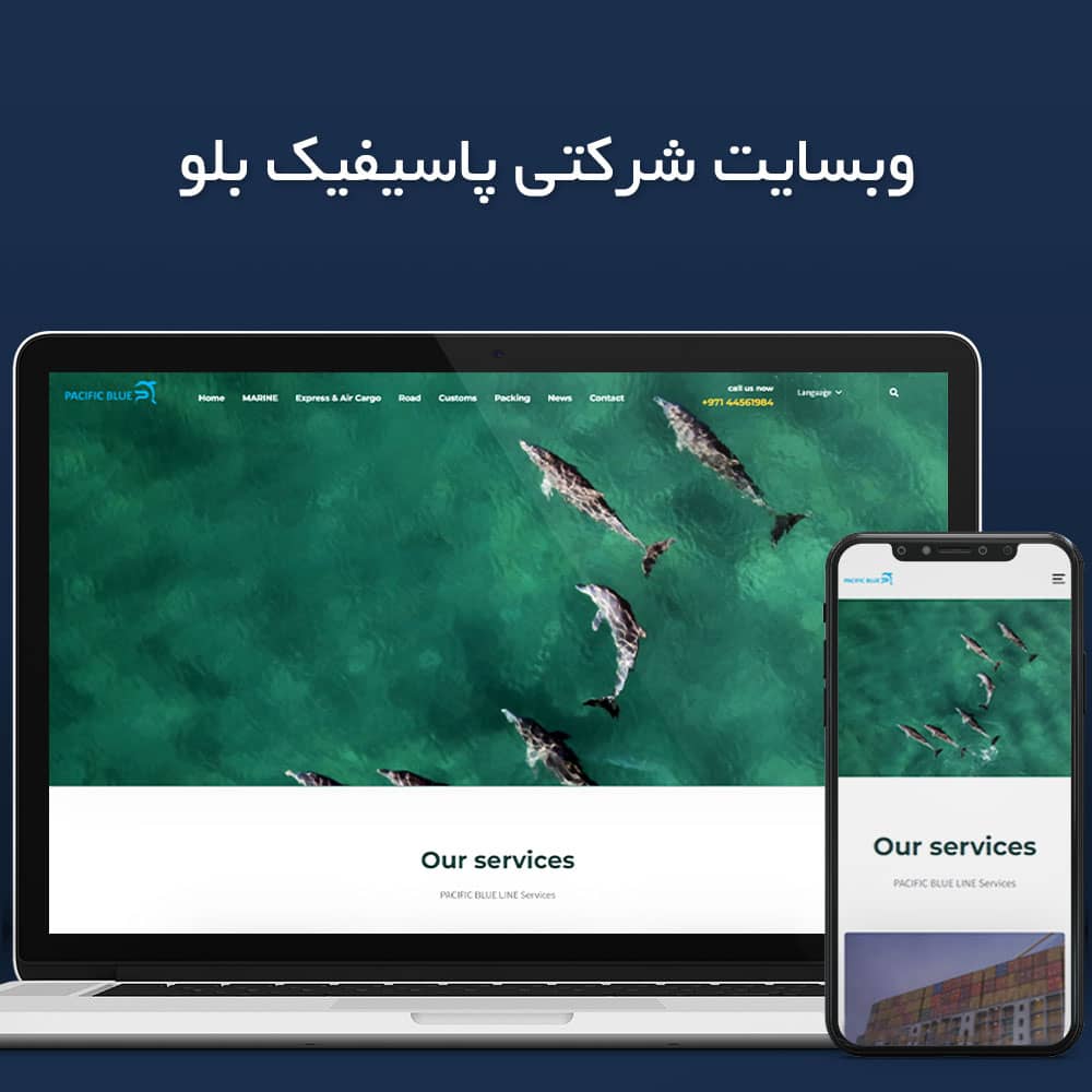 طراح سایت حرفه ای دبی